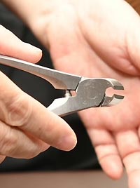 爪切りはニッパーを使って切ります